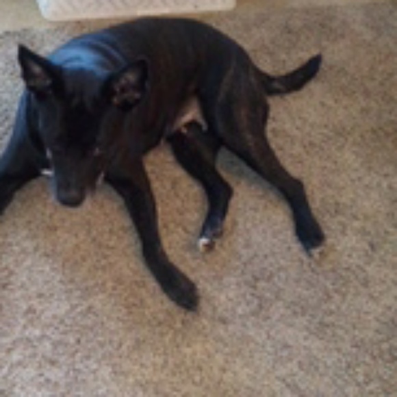 Meet your Posher, Drea - Picture 1 of 1